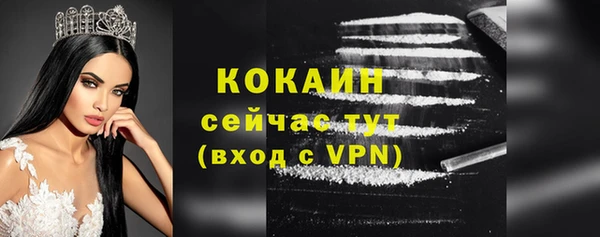 прущие грибы Белокуриха