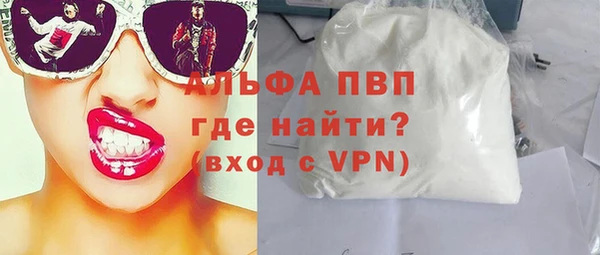 дмт Богданович