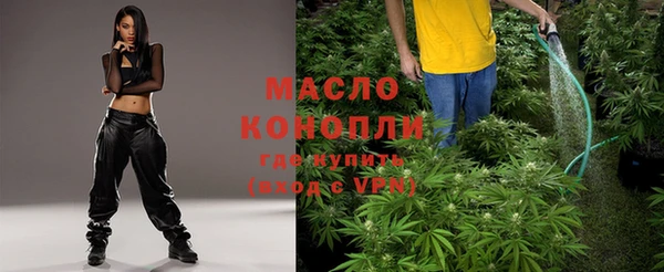 дмт Богданович