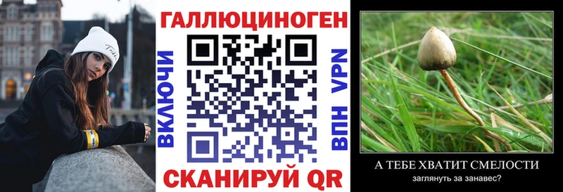 продажа наркотиков  Кимовск  Псилоцибиновые грибы ЛСД 